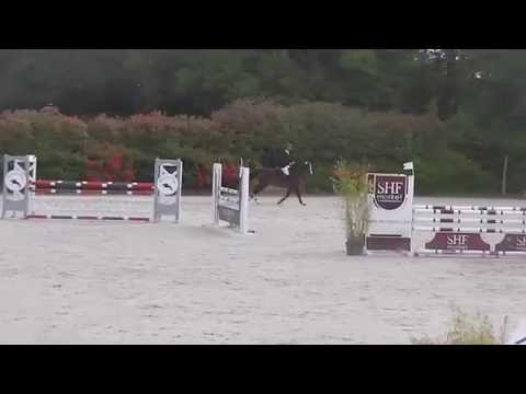 Cir Auvers juin 2016 CYMBELINE O'PLANCK 2ème parcours