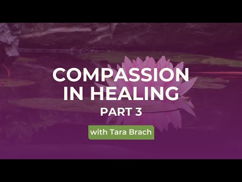 Finding Safety in Connection with Others | Tara Brach on The Path To Refuge (Part 3)