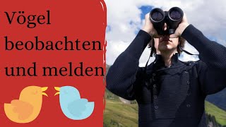 WARUM DU DEINE VOGELBEOBACHTUNGEN MELDEN SOLLTEST [ornitho.de]
