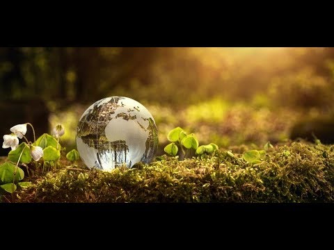 (3) Kopshti i të mençurve – Shenjat e njeriut të mençur  – Hoxhë Qëndrim Jashari