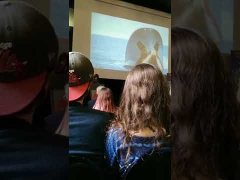 Sharkfest 2018 - Sea shepherd