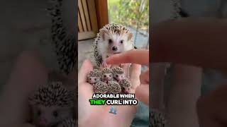 YouTube Short Edit