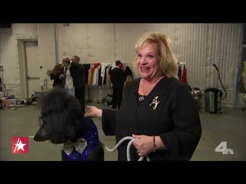 Access Hollywood. ￼ LAFW ￼ LA fashion week Dazu models for Anthony Rubio.