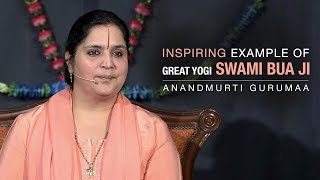 Inspiring example of great yogi Swami Bua Ji Maharaj | Anandmurti Gurumaa