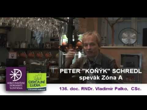 Koňýk podporuje KDS a hnutie Obyčajných ľudí