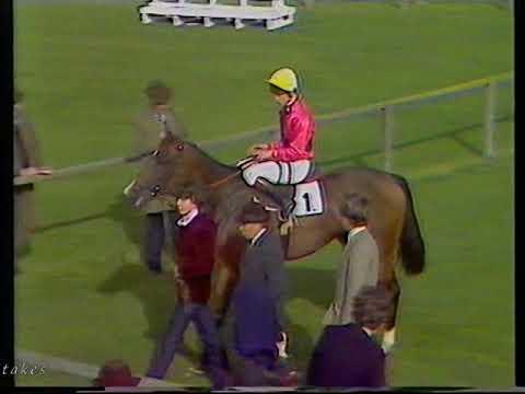 1982 Sun Chariot Stakes Time Charter Inc Replay & Enclosure