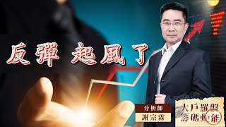 反彈 起風了｜大戶羅盤籌碼動能 ｜謝宗霖 (圖)