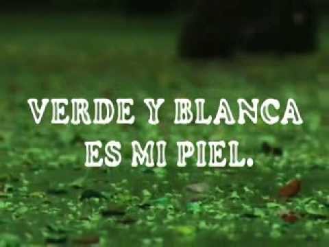 Verde y blanca es mi piel - Documental