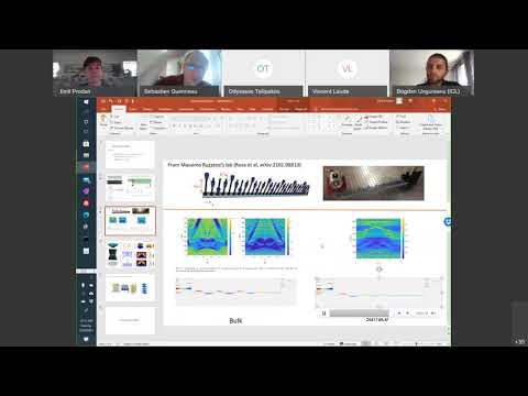 MetaMAT’s 26th webinar - 26.01.2021 - Q&A - Emil Prodan