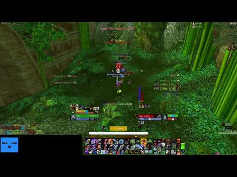 Hunter solos High Priest Thekal (ZG tiger boss) in MM raid spec - WotLK Classic