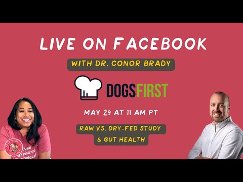Dr. Conor Brady on Probiotics, Raw vs. Kibble, and the Truth About Dog Nutrition