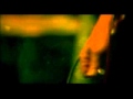 Lou Reed, Rock Minuet, 2007