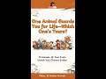 Chinese Zodiac One Animal Guards You For Life Which One S Yours