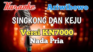 Download lagu Singkong dan keju ariwibowo - Karaoke nada Pria mp3