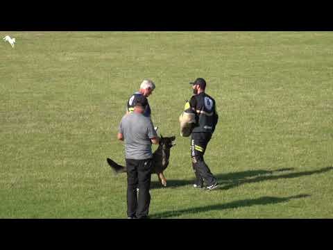 Chira Zde Sko   MCKNO 2022  IGP3 C-95