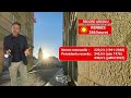 La météo de votre samedi 1er août 2026