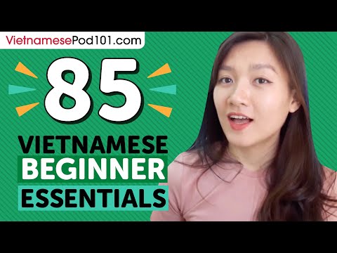Learn Vietnamese: 85 Beginner Vietnamese Videos You Must Watch