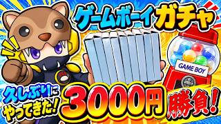 【3000円勝負】久しぶりのゲームボーイガチャ！果たして当たりは出るのか！？あんまんちょこっと散歩！