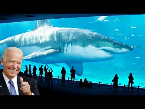 America Built the World's LARGEST Aquarium for $50 Billion