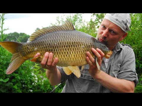 Matze Koch seen over the shoulder - Balzer event in Fulda 2015