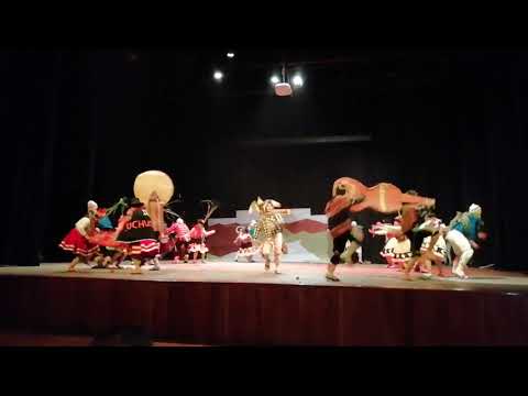 COMPARSA DE CUCHUCUSMA 2do PUESTO -UNMSM FAC. DE ODONTOLOGIA