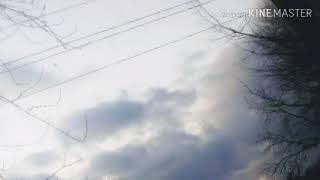 Mother Mother wisdom lyrics