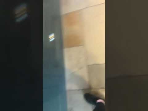 byM&ouml;lly video.