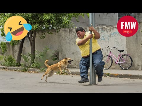 Funny & Hilarious People Life 😆 #435 | TRY NOT TO LAUGH CHALLENGE 😂 | Funny Videos Compilation 2025