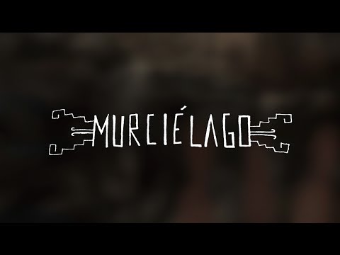 Porter - Murciélago