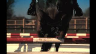 'We Came Here To Win, To Survive, To Prosper, To Rise.'