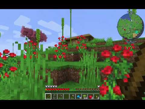 Enigmatica 6 S2 - Episode 1 - Starter House and Tetra Tools