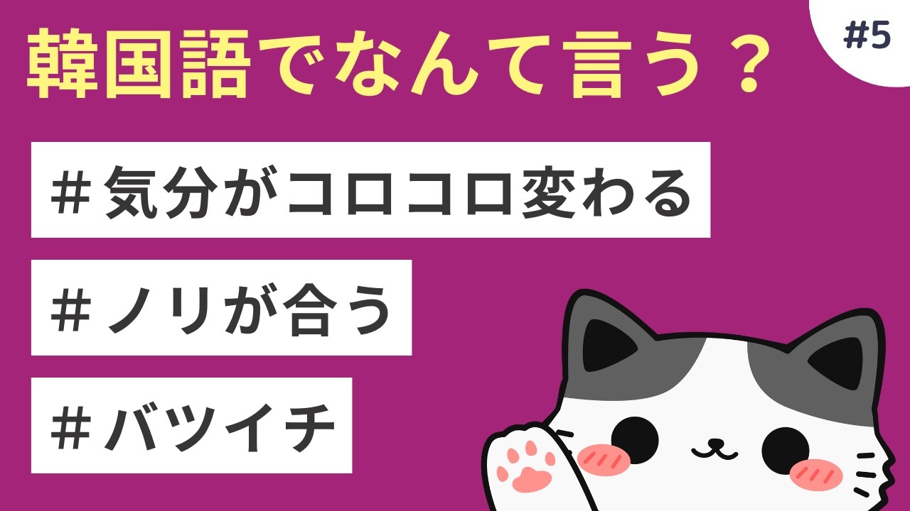 教科書には出てこないネイティブ韓国語 #5　一発／大ヒットする／バツイチ／ノリが合う／心に響く／声が裏返る／体がついていかない／気分がコロコロ変わる／癒やされる／派手だ