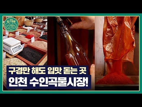 [인천탐구생활2] 14화 전국 최대규모 곡물 시장이 인천에?