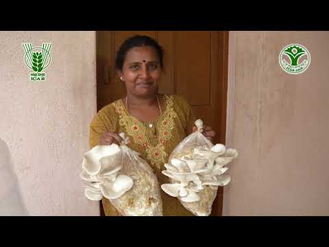 Empowering women through ICAR-IIHR Mushroom Technology (Kannada) 