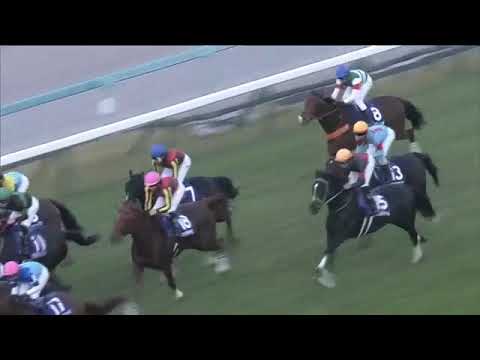 2020.11.15 Queen Elizabeth II Cup (JPN) - Lucky Lilac