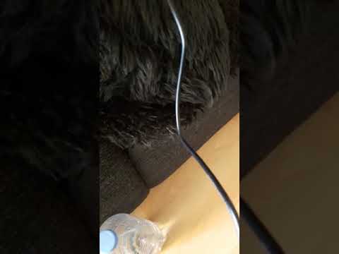 Geen grote bek! Jij weet wie hier gelijk heeft!