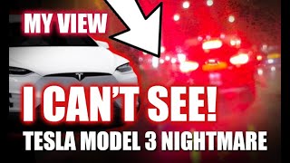 MY 4 MONTHS OF HELL WITH TESLA MODEL 3