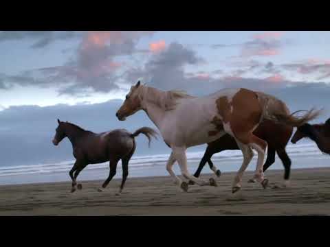 MULO KAR ft. SMOKY - VRANŸ KONĒ (BRBGNG)