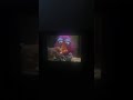 Sesame Street Episode 2637 Ending
