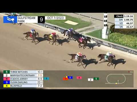 Older Female/Sprinter Champion  Maryquitecontrary