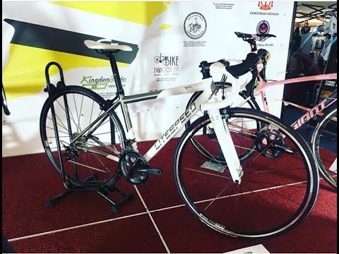 Litespeed T5 Titanium Road Bike (My Wife’s Custom Gran Fondo Bike)