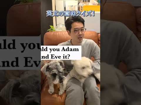 この英語表現知ってる？① #shorts