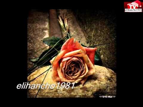 Сурай Две Сърца   VBOX7.flv