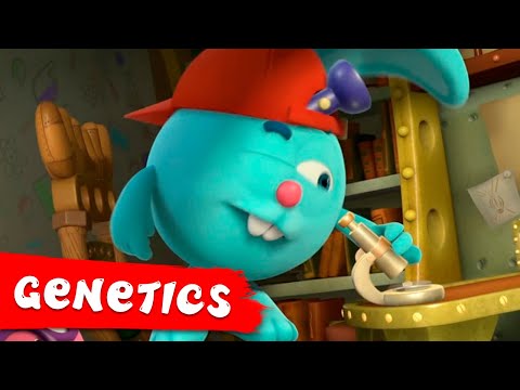 PinCode | Best episodes about Genetics | Cartoons for Kids