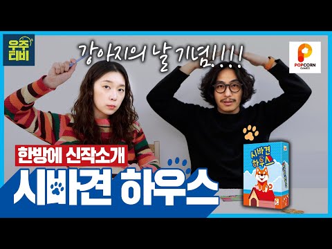 국제 강아지의 날 기념! 시바견 하우스 한방에 신작소개