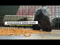 FULL Majalah 3 2023 20 Mar Khazanah Sang Duri