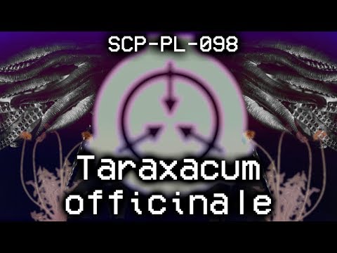 SCP-PL-098 "Taraxacum officinale"