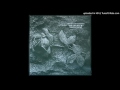 Controlled Bleeding - Untitled B3 (Headcrack 1986)