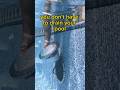 Replace a pool light #pool #diy #shorts