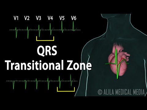 Cardiovascular System Overview Animation